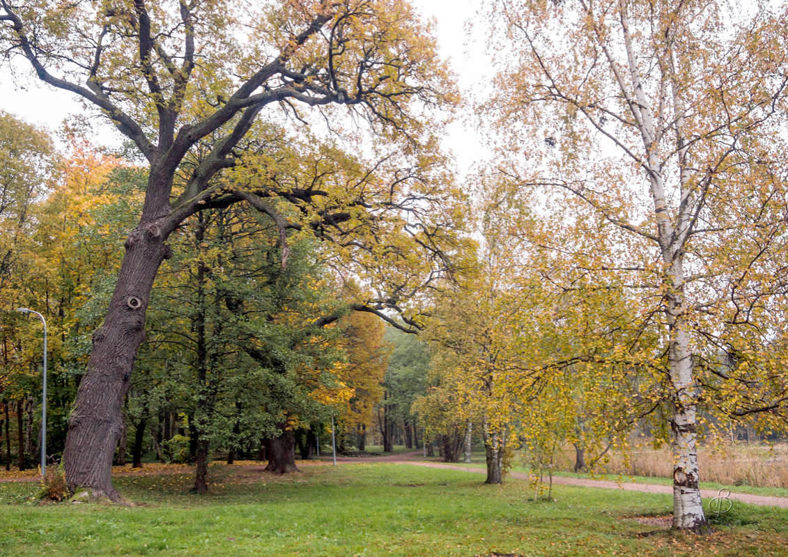 *** ����� Vitaly Konakov �� PhotoGeek.ru #������ ��� ������� #����� ��������