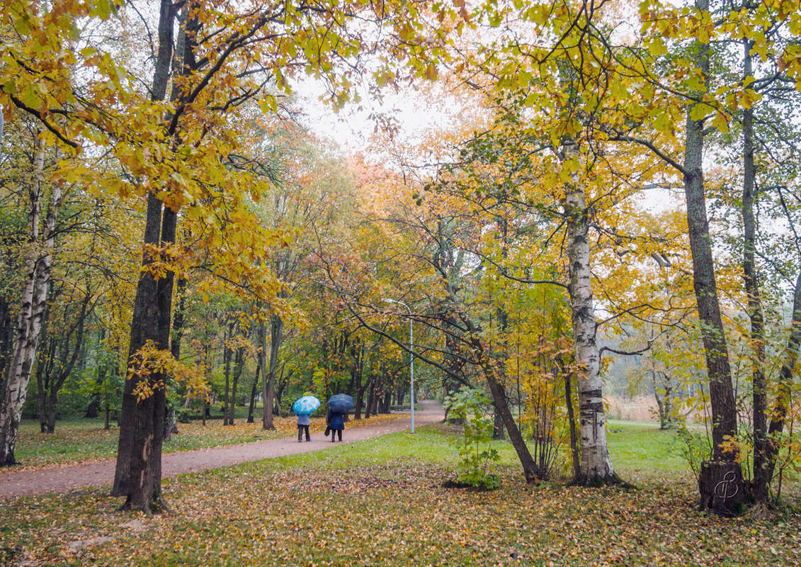 *** ����� Vitaly Konakov �� PhotoGeek.ru #������ ��� ������� #����� ��������