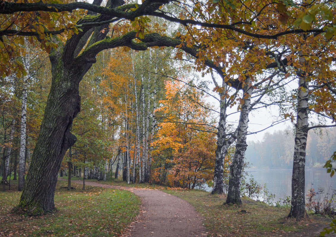 *** ����� Vitaly Konakov �� PhotoGeek.ru #������ ��� ������� #����� ��������
