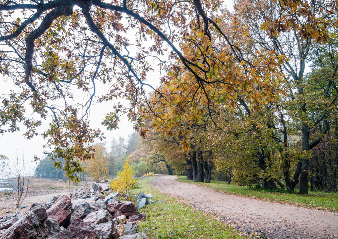 *** ����� Vitaly Konakov �� PhotoGeek.ru #������ ��� ������� #����� ��������