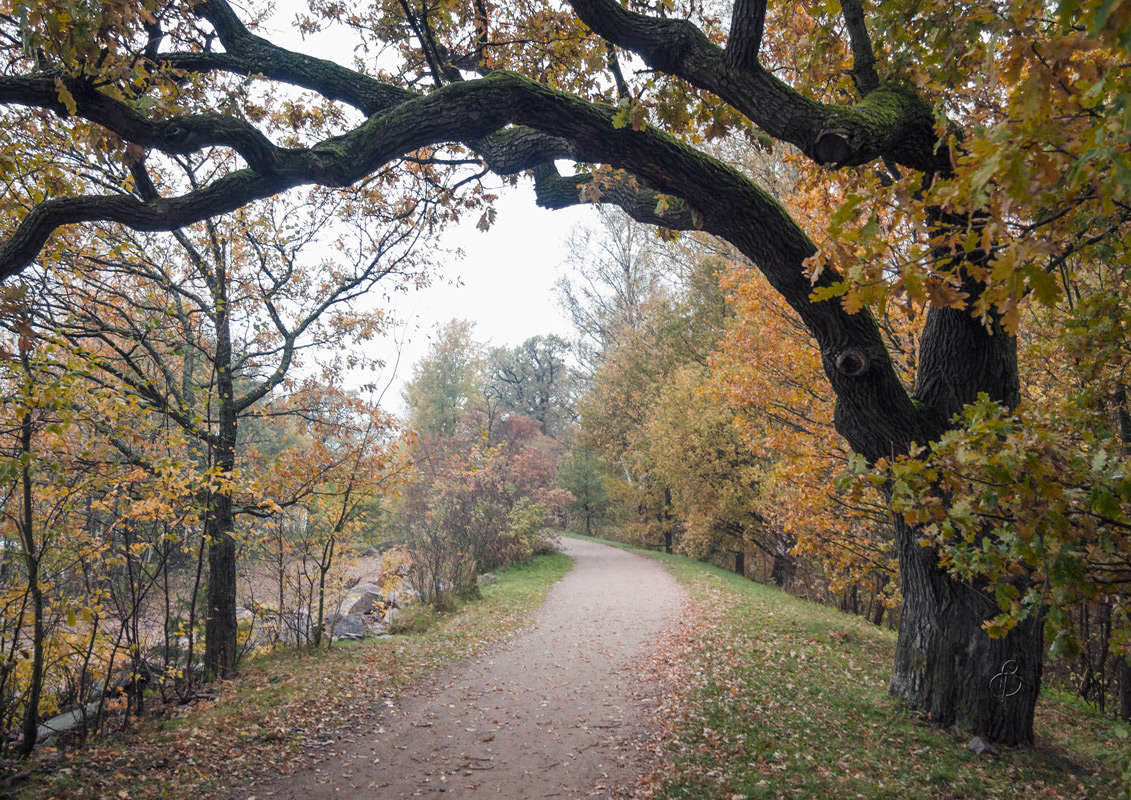 *** ����� Vitaly Konakov �� PhotoGeek.ru #������ ��� ������� #����� ��������