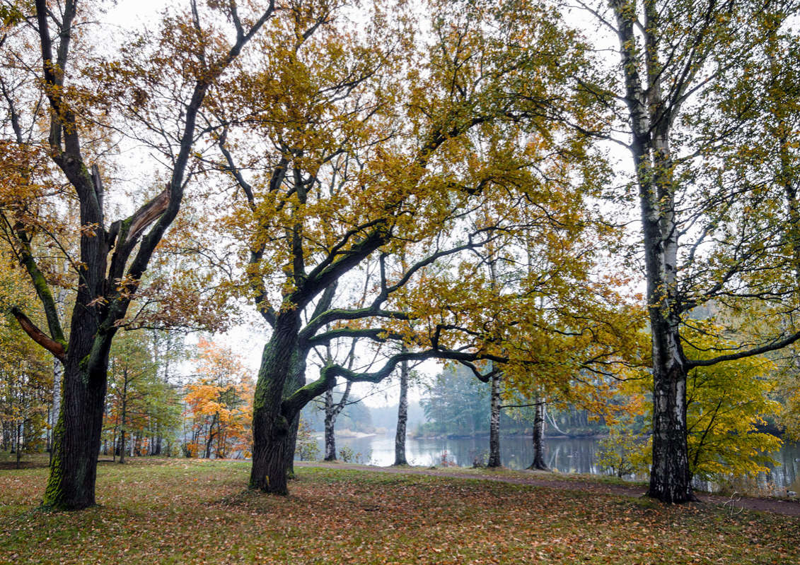 *** ����� Vitaly Konakov �� PhotoGeek.ru #������ ��� ������� #����� ��������