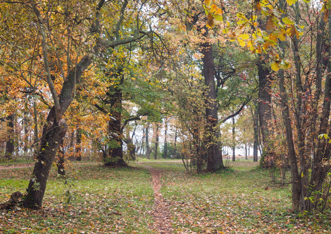 *** ����� Vitaly Konakov �� PhotoGeek.ru #������ ��� ������� #����� ��������