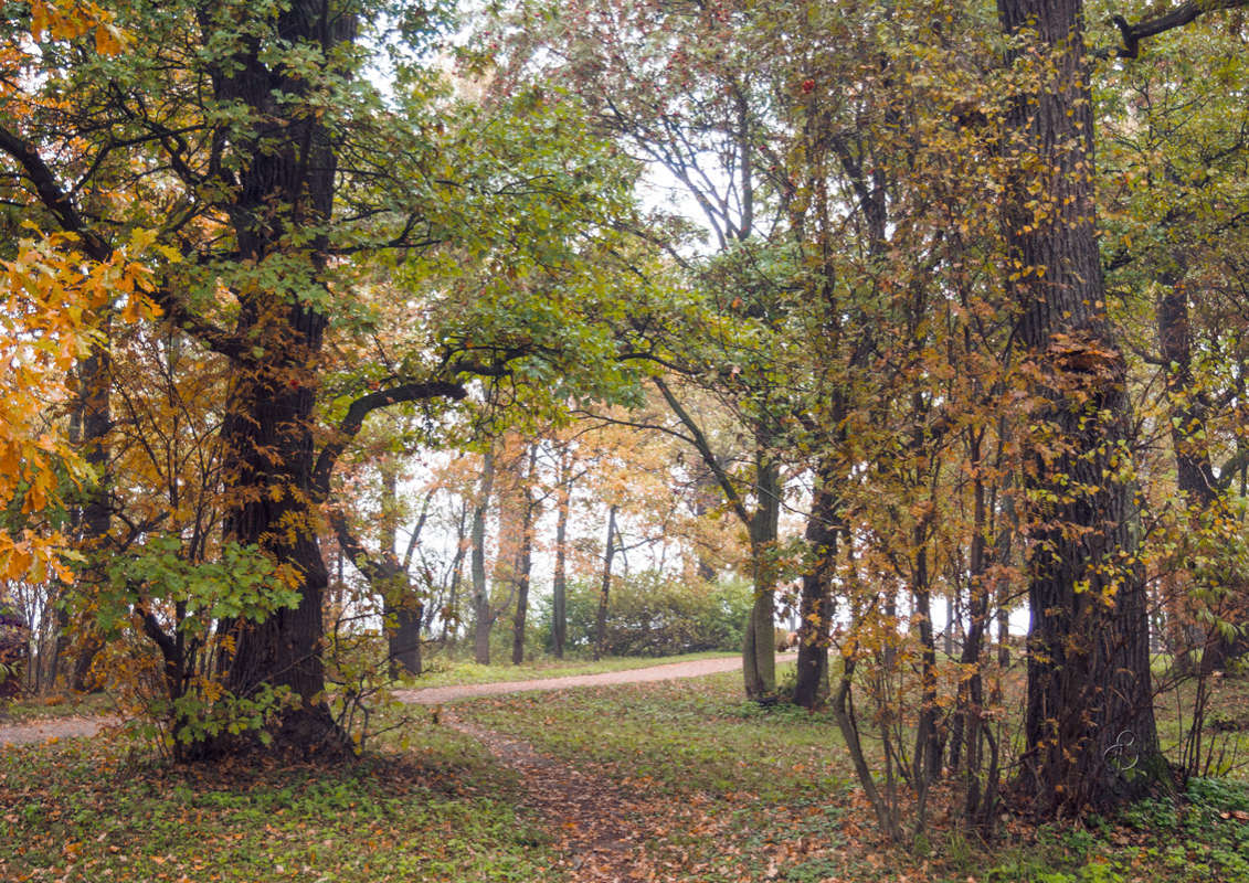 *** ����� Vitaly Konakov �� PhotoGeek.ru #������ ��� ������� #����� ��������