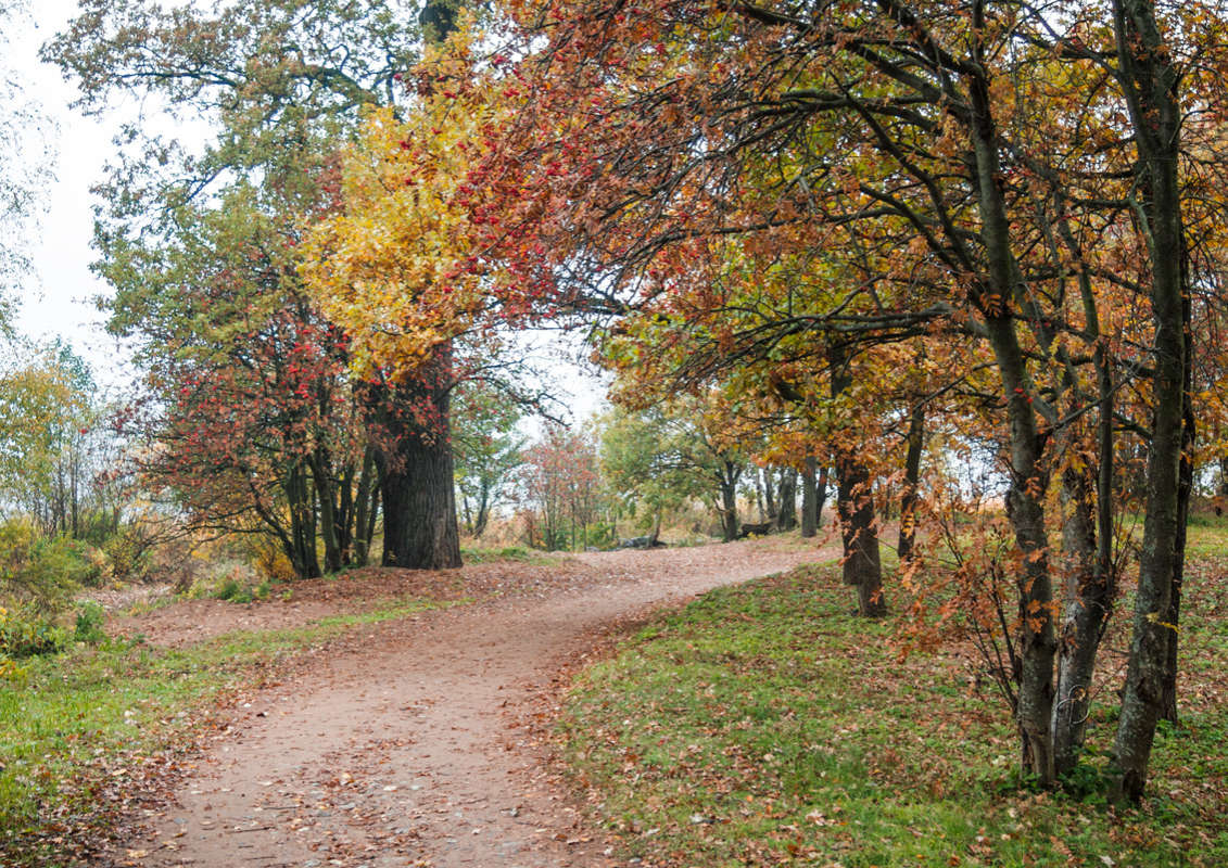*** ����� Vitaly Konakov �� PhotoGeek.ru #������ ��� ������� #����� ��������