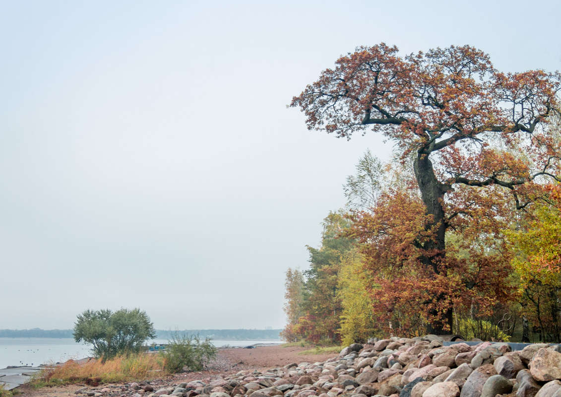 *** ����� Vitaly Konakov �� PhotoGeek.ru #������ ��� ������� #����� ��������