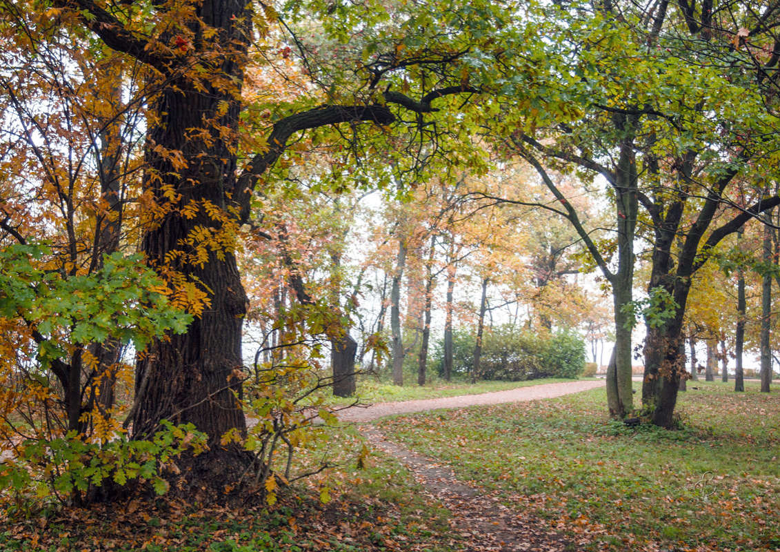 *** ����� Vitaly Konakov �� PhotoGeek.ru #������ ��� ������� #����� ��������