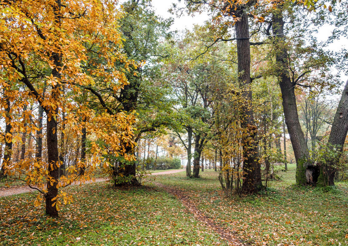 *** ����� Vitaly Konakov �� PhotoGeek.ru #������ ��� ������� #����� ��������