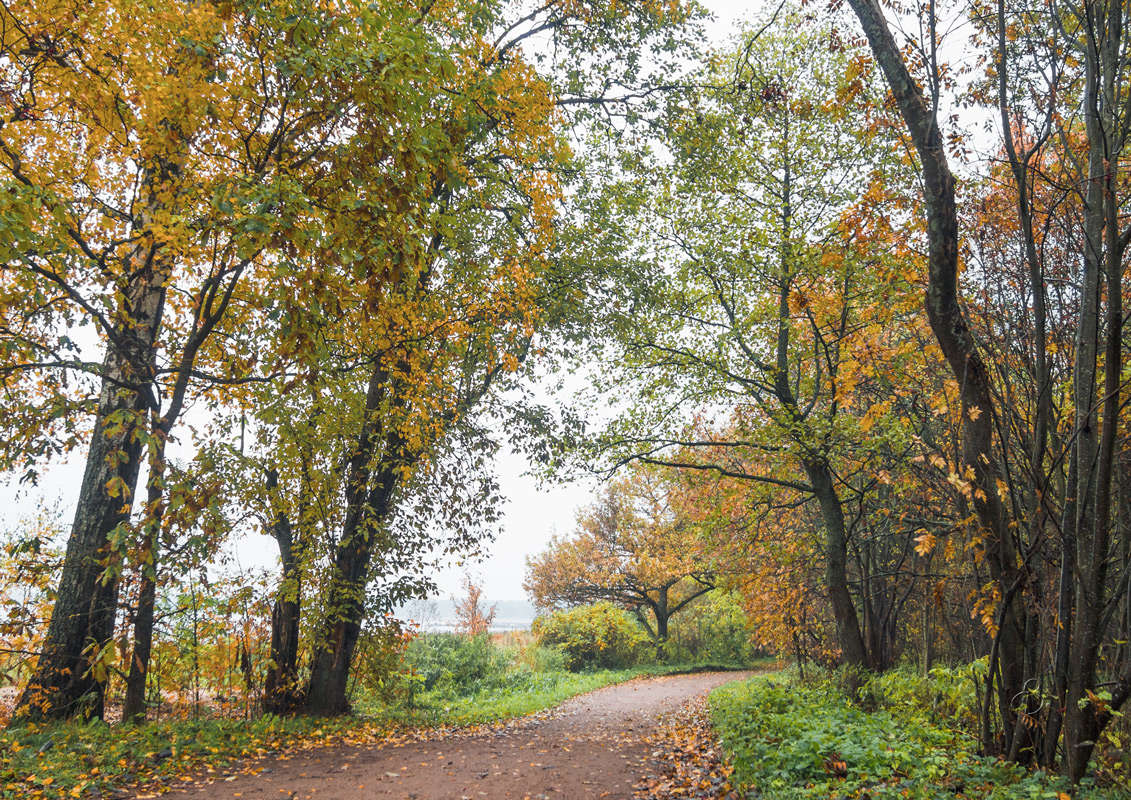 *** ����� Vitaly Konakov �� PhotoGeek.ru #������ ��� ������� #����� ��������