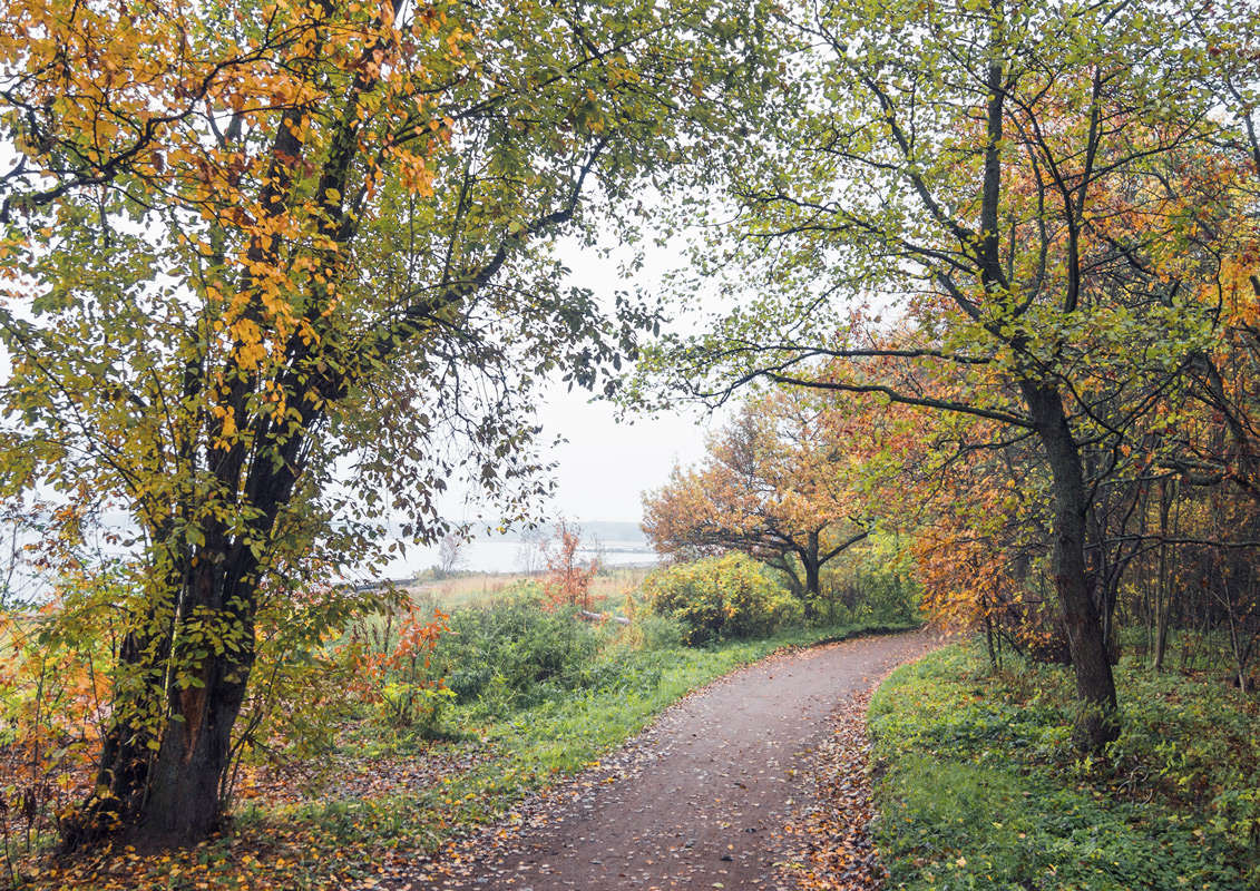 *** ����� Vitaly Konakov �� PhotoGeek.ru #������ ��� ������� #����� ��������