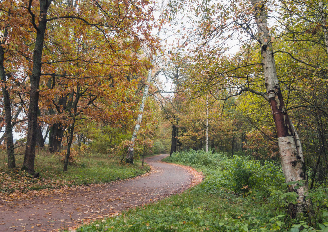 *** ����� Vitaly Konakov �� PhotoGeek.ru #������ ��� ������� #����� ��������