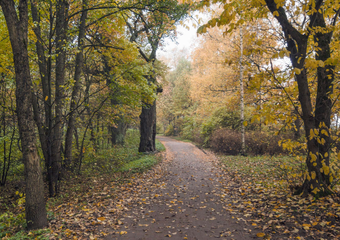 *** ����� Vitaly Konakov �� PhotoGeek.ru #������ ��� ������� #����� ��������