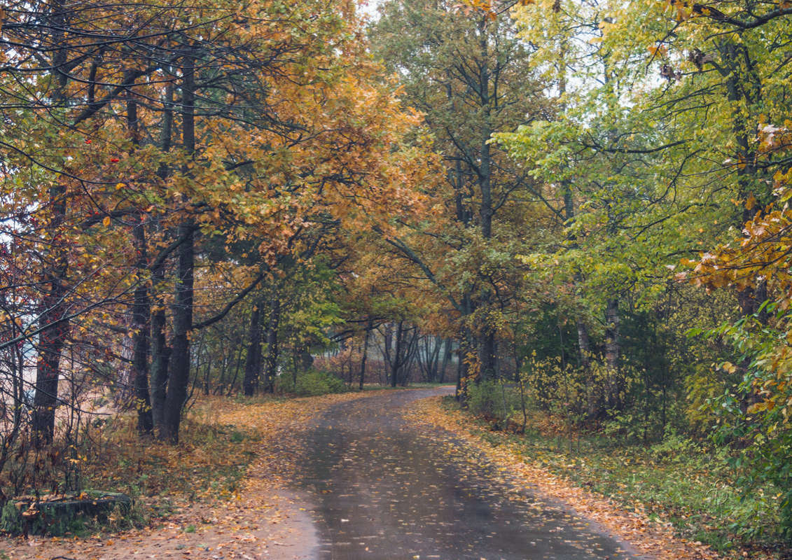 *** ����� Vitaly Konakov �� PhotoGeek.ru #������ ��� ������� #����� ��������