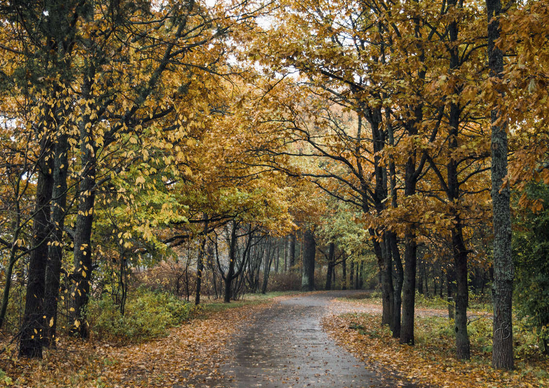 *** ����� Vitaly Konakov �� PhotoGeek.ru #������ ��� ������� #����� ��������