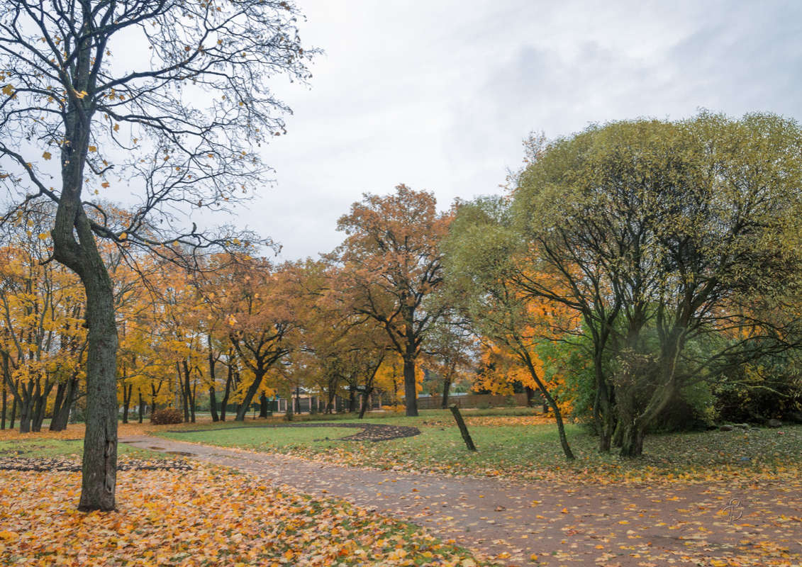 *** ����� Vitaly Konakov �� PhotoGeek.ru #������ ��� ������� #����� ��������