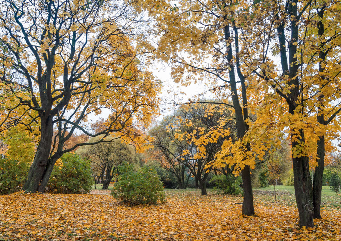 *** ����� Vitaly Konakov �� PhotoGeek.ru #������ ��� ������� #����� ��������