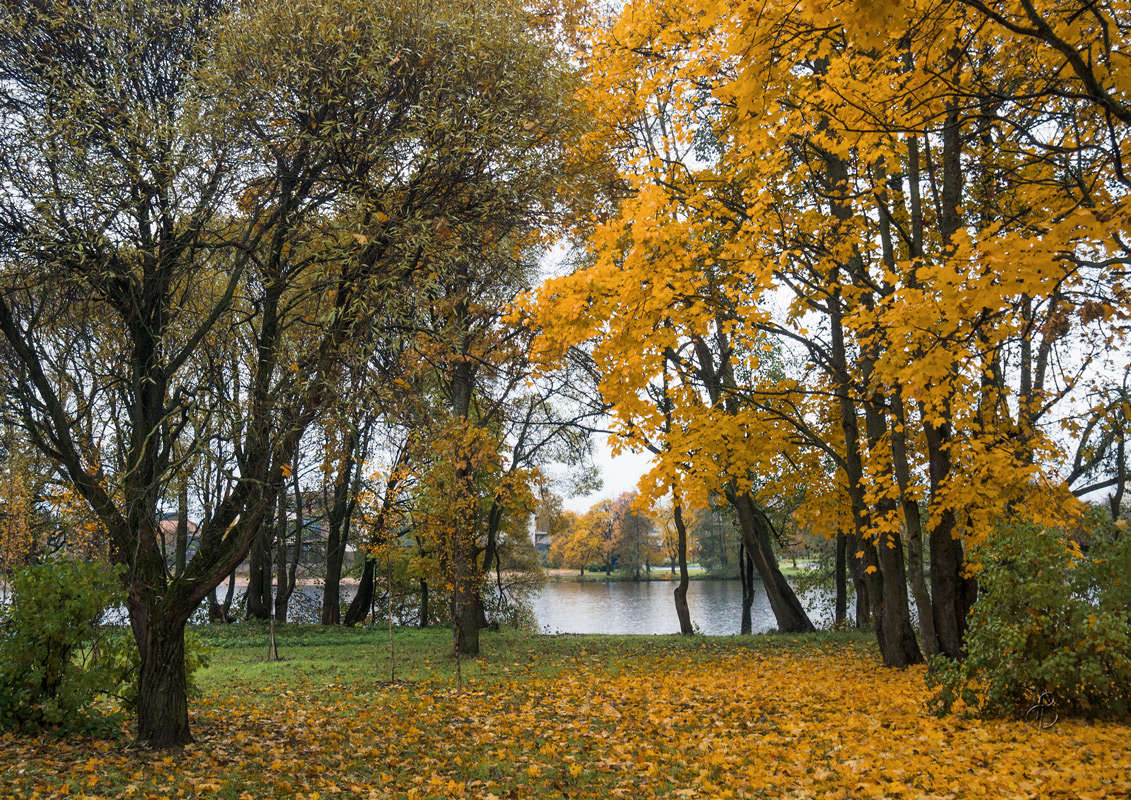 *** ����� Vitaly Konakov �� PhotoGeek.ru #������ ��� ������� #����� ��������