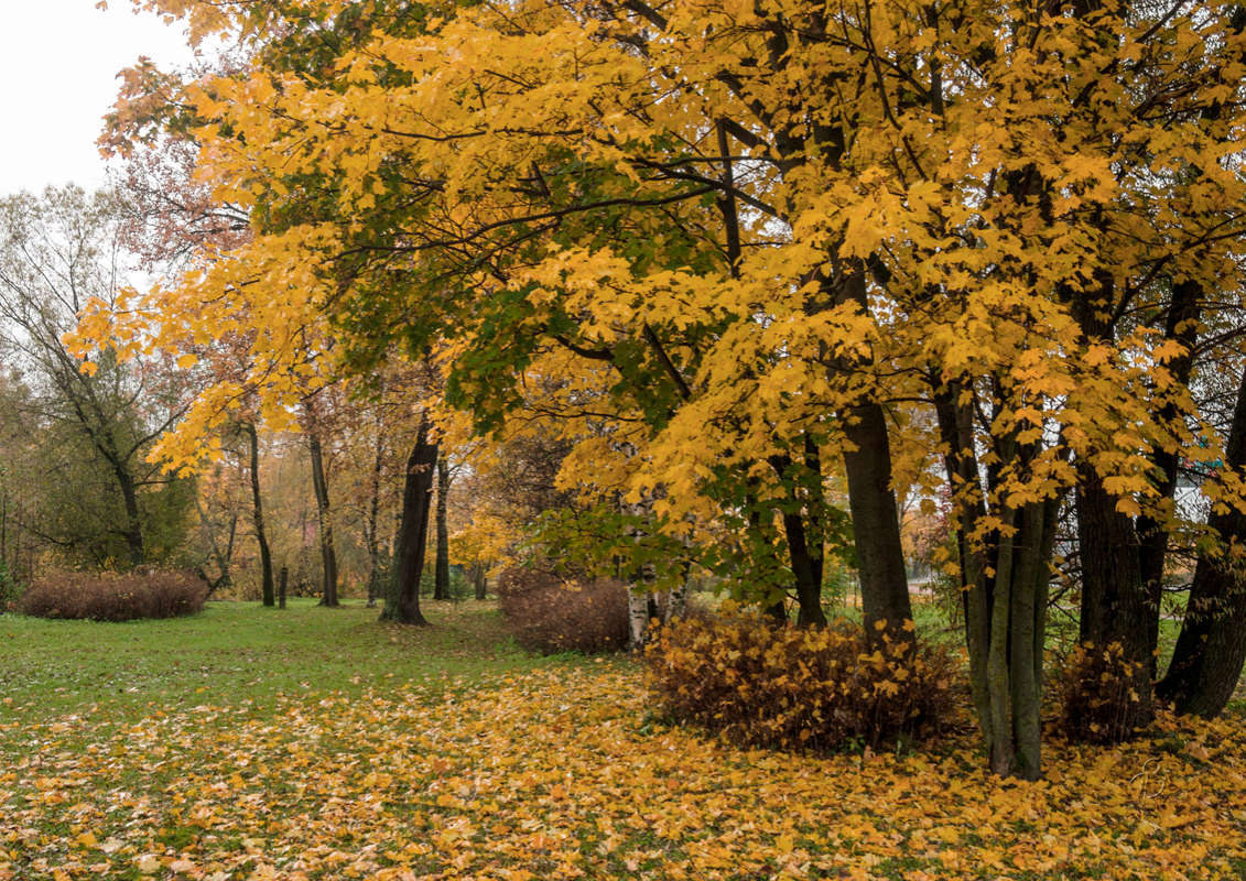 *** ����� Vitaly Konakov �� PhotoGeek.ru #������ ��� ������� #����� ��������