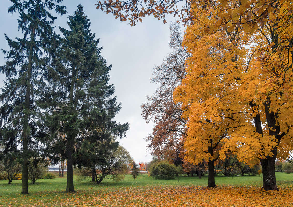 *** ����� Vitaly Konakov �� PhotoGeek.ru #������ ��� ������� #����� ��������