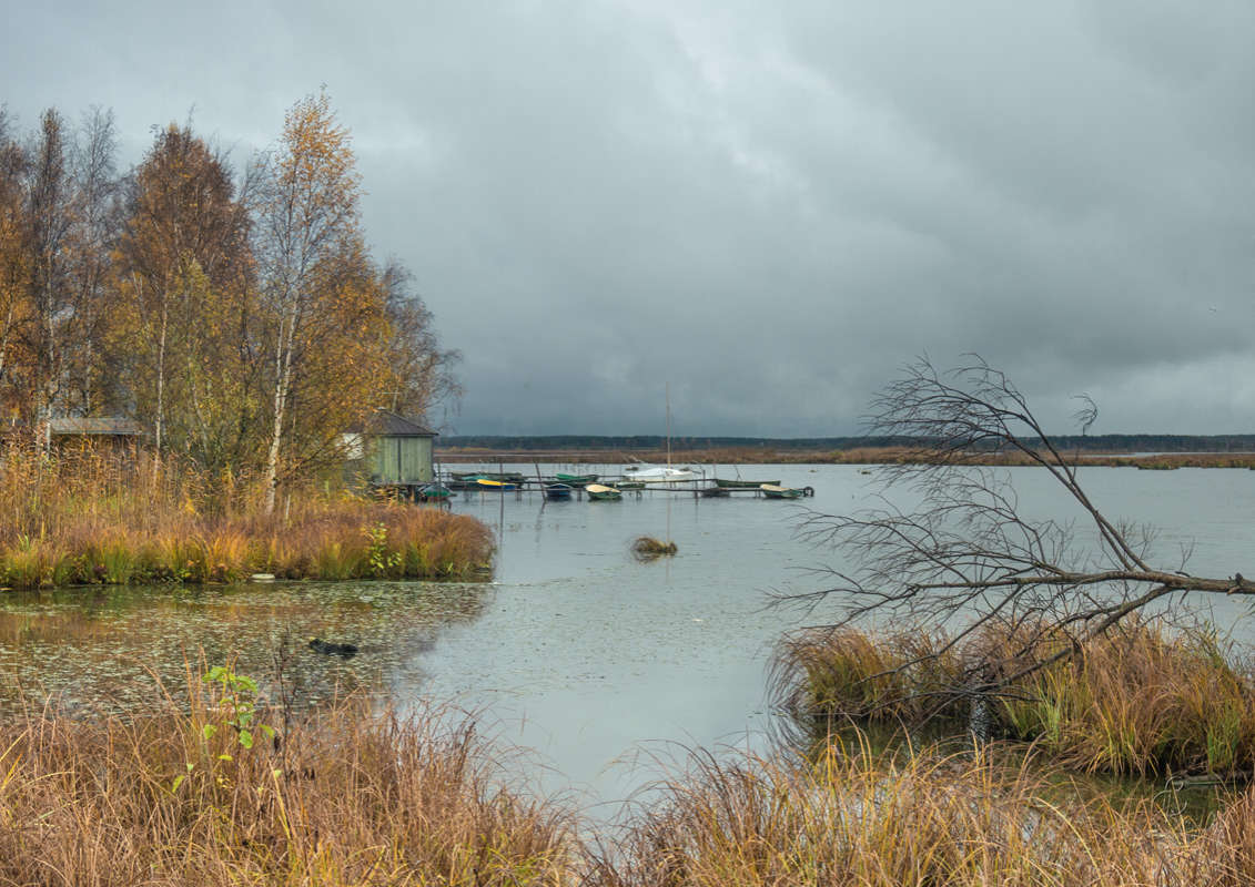 *** ����� Vitaly Konakov �� PhotoGeek.ru #������ ��� ������� #����� ��������