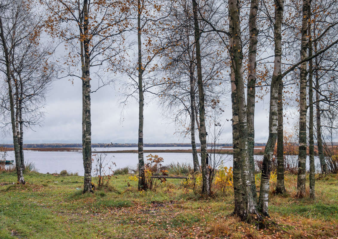 *** ����� Vitaly Konakov �� PhotoGeek.ru #������ ��� ������� #����� ��������