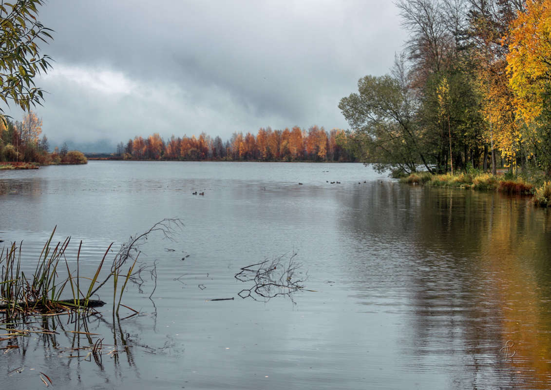 *** ����� Vitaly Konakov �� PhotoGeek.ru #������ ��� ������� #����� ��������