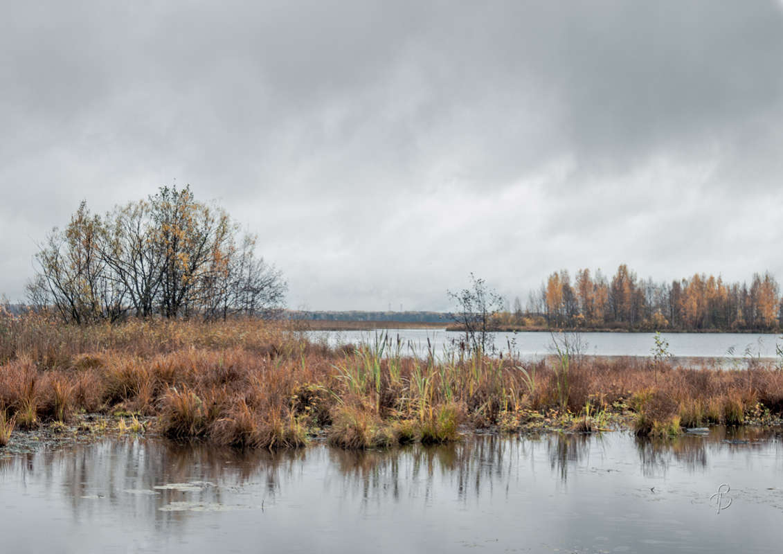*** ����� Vitaly Konakov �� PhotoGeek.ru #������ ��� ������� #����� ��������