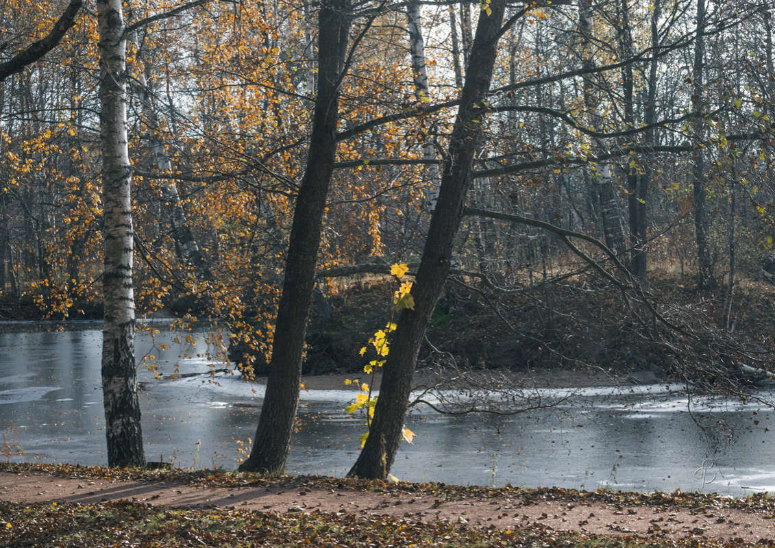 *** ����� Vitaly Konakov �� PhotoGeek.ru #������ ��� ������� #����� ��������