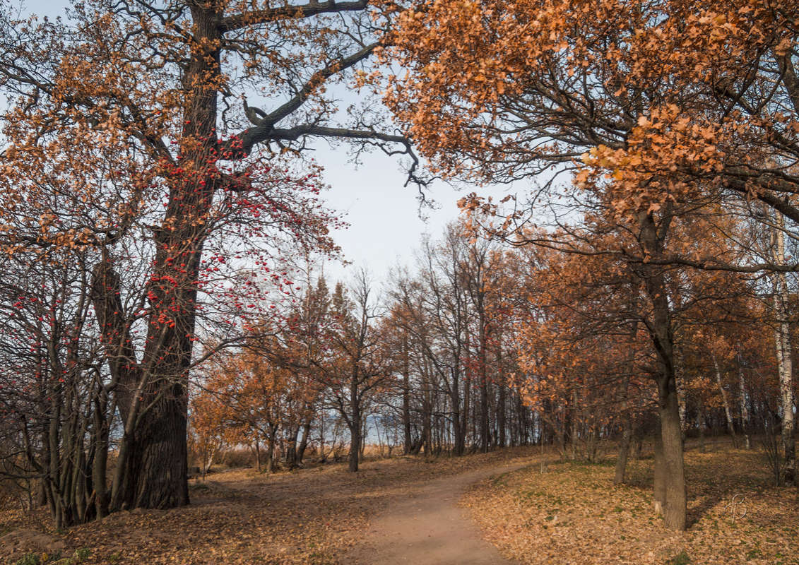 *** ����� Vitaly Konakov �� PhotoGeek.ru #������ ��� ������� #����� ��������