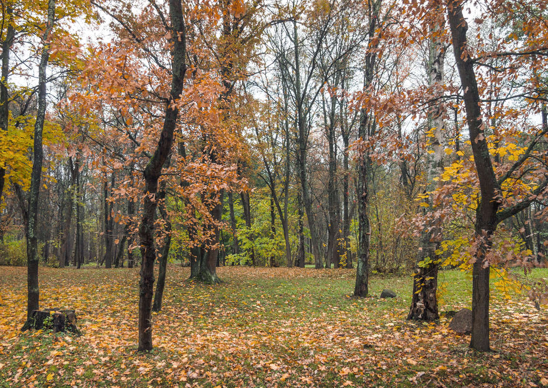 *** ����� Vitaly Konakov �� PhotoGeek.ru #������ ��� ������� #����� ��������