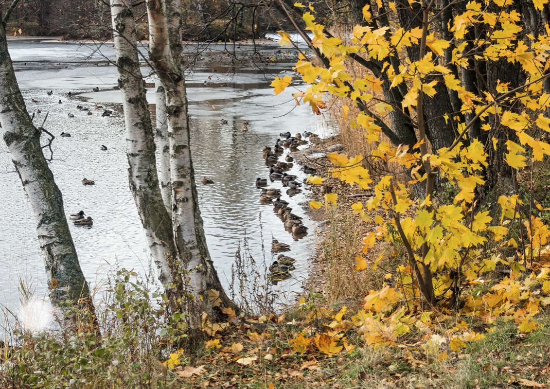 *** ����� Vitaly Konakov �� PhotoGeek.ru #������ ��� ������� #����� ��������