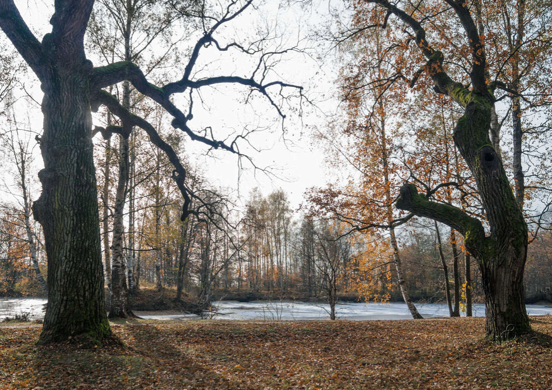 *** ����� Vitaly Konakov �� PhotoGeek.ru #������ ��� ������� #����� ��������