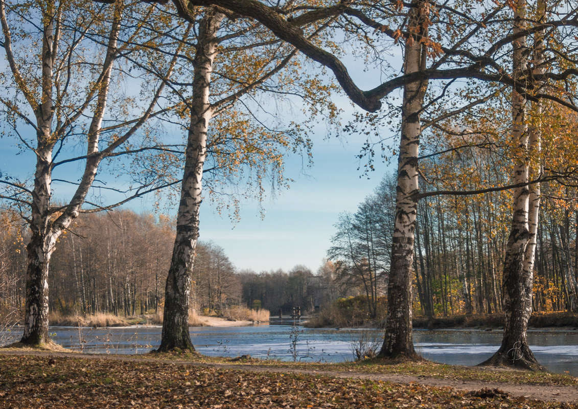 *** ����� Vitaly Konakov �� PhotoGeek.ru #������ ��� ������� #����� ��������