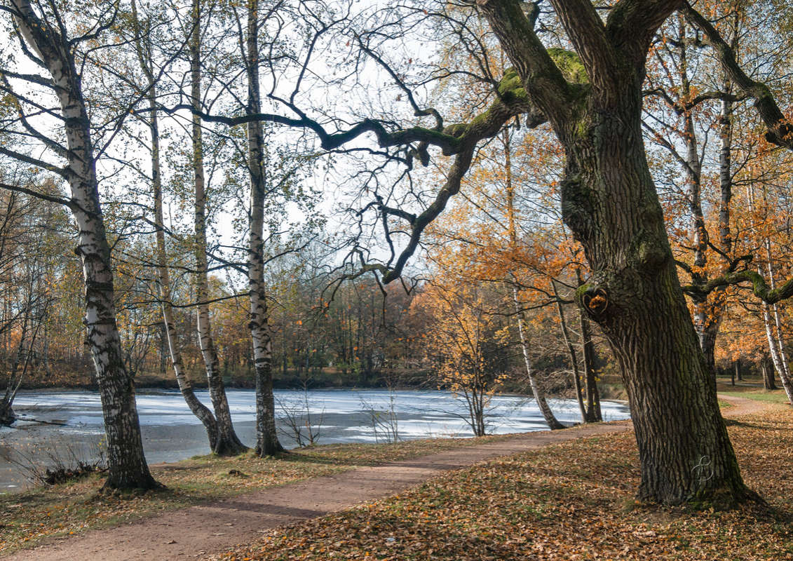 *** ����� Vitaly Konakov �� PhotoGeek.ru #������ ��� ������� #����� ��������