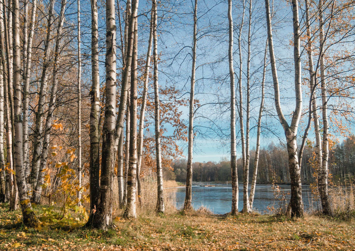 *** ����� Vitaly Konakov �� PhotoGeek.ru #������ ��� ������� #����� ��������