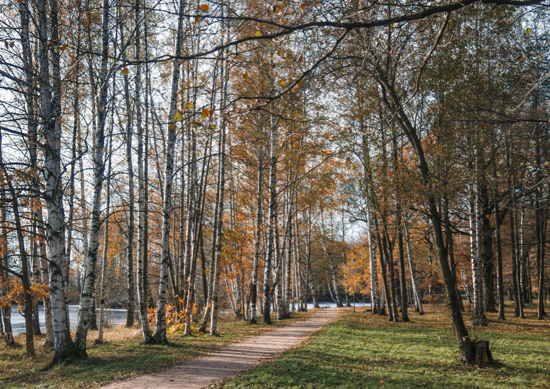 *** ����� Vitaly Konakov �� PhotoGeek.ru #������ ��� ������� #����� ��������