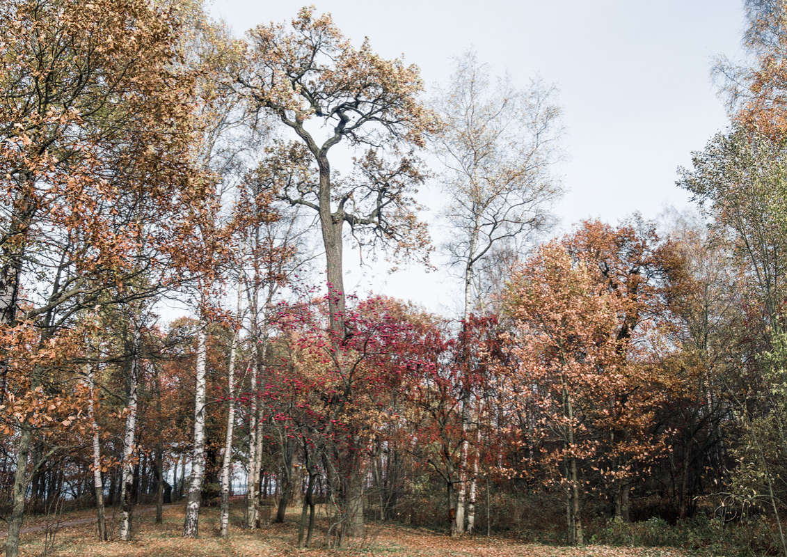 *** ����� Vitaly Konakov �� PhotoGeek.ru #������ ��� ������� #����� ��������