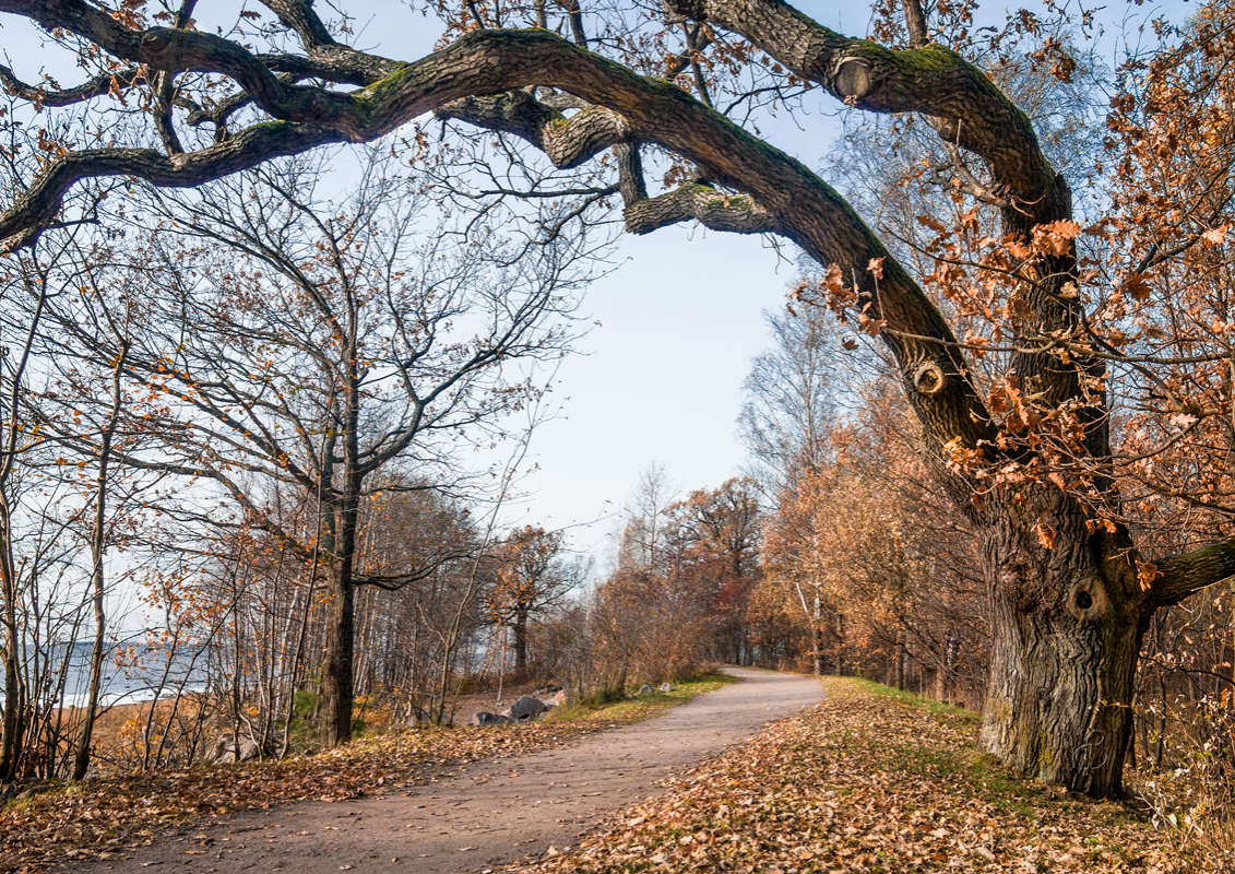 *** ����� Vitaly Konakov �� PhotoGeek.ru #������ ��� ������� #����� ��������