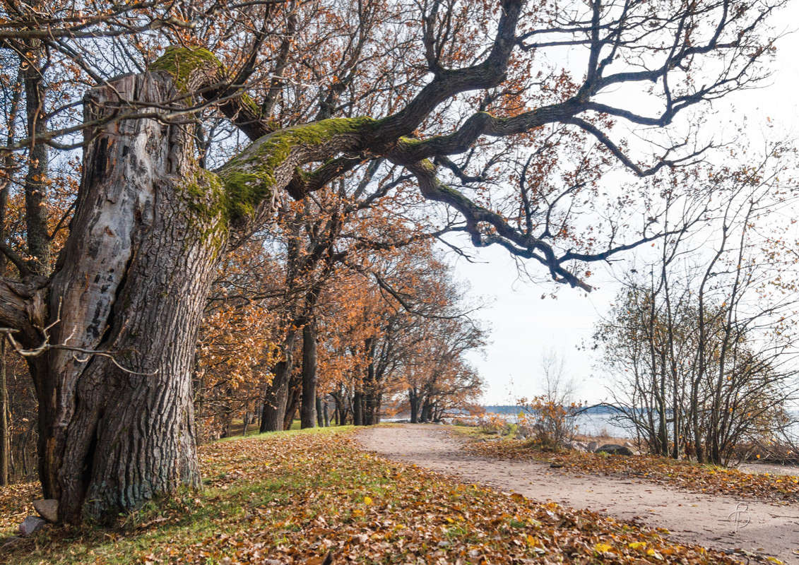*** ����� Vitaly Konakov �� PhotoGeek.ru #������ ��� ������� #����� ��������