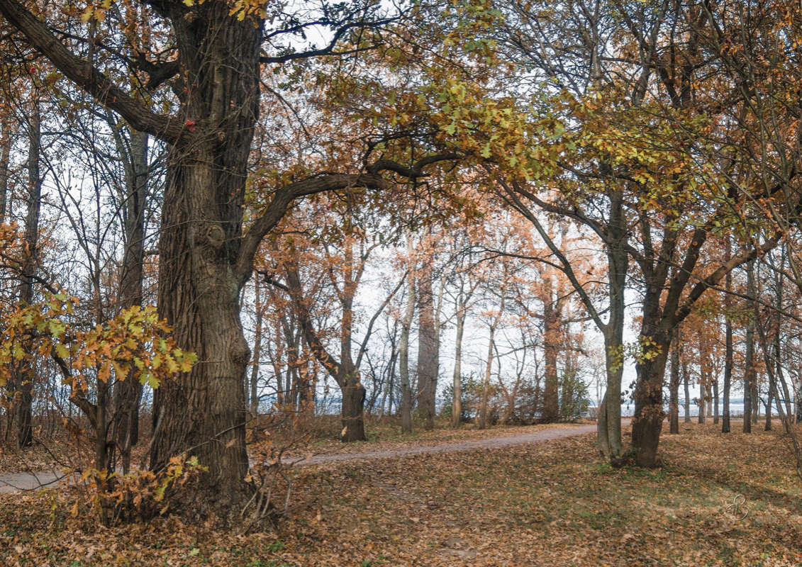 *** ����� Vitaly Konakov �� PhotoGeek.ru #������ ��� ������� #����� ��������