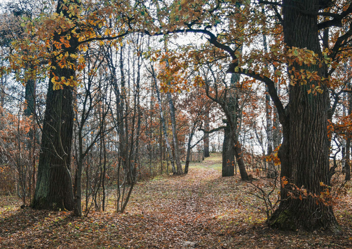 *** ����� Vitaly Konakov �� PhotoGeek.ru #������ ��� ������� #����� ��������