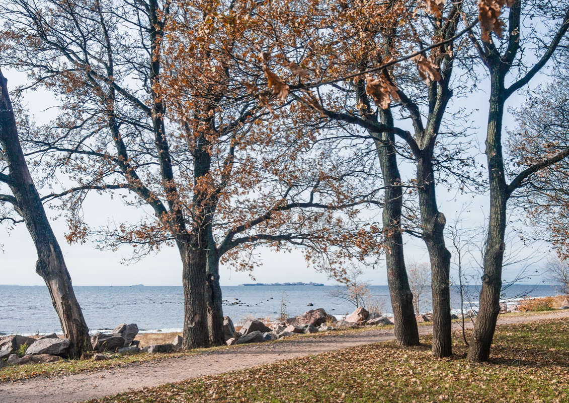 *** ����� Vitaly Konakov �� PhotoGeek.ru #������ ��� ������� #����� ��������