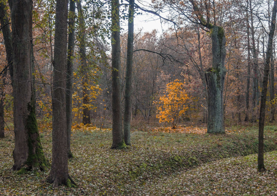 *** ����� Vitaly Konakov �� PhotoGeek.ru #������ ��� ������� #����� ��������