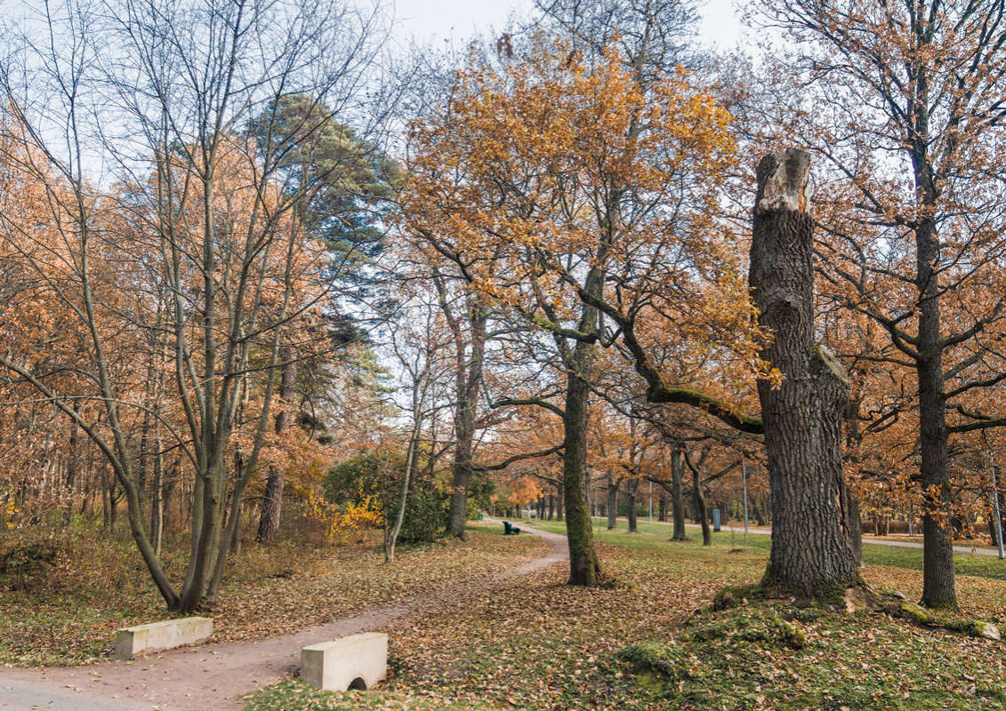 *** ����� Vitaly Konakov �� PhotoGeek.ru #������ ��� ������� #����� ��������