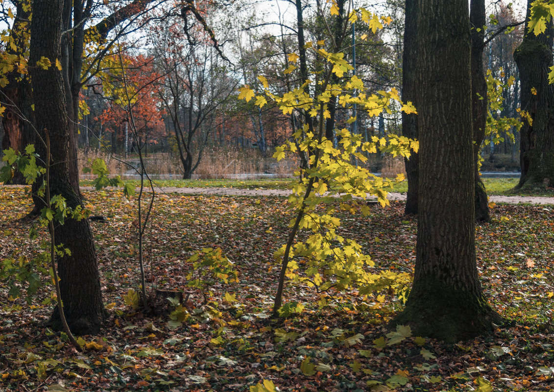 *** ����� Vitaly Konakov �� PhotoGeek.ru #������ ��� ������� #����� ��������