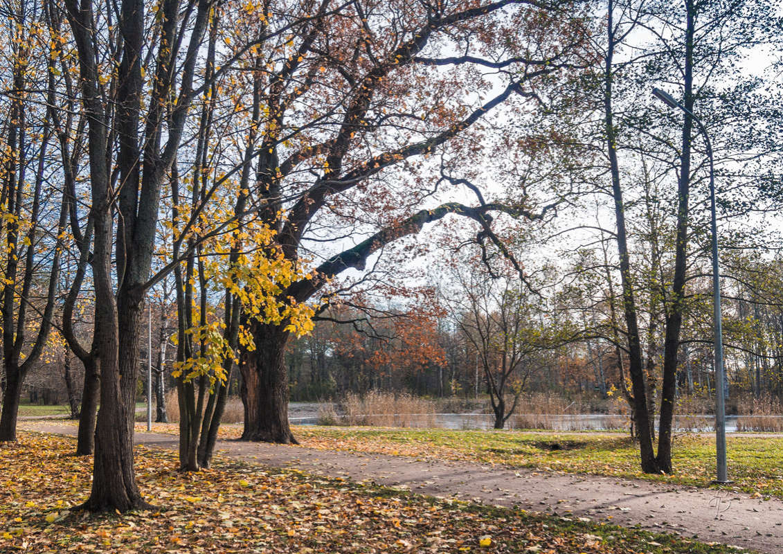 *** ����� Vitaly Konakov �� PhotoGeek.ru #������ ��� ������� #����� ��������