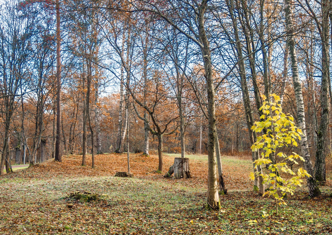 *** ����� Vitaly Konakov �� PhotoGeek.ru #������ ��� ������� #����� ��������