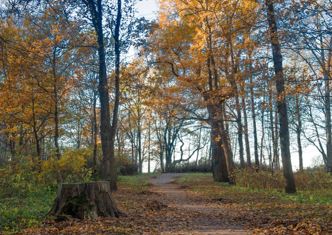 *** ����� Vitaly Konakov �� PhotoGeek.ru #������ ��� ������� #����� ��������