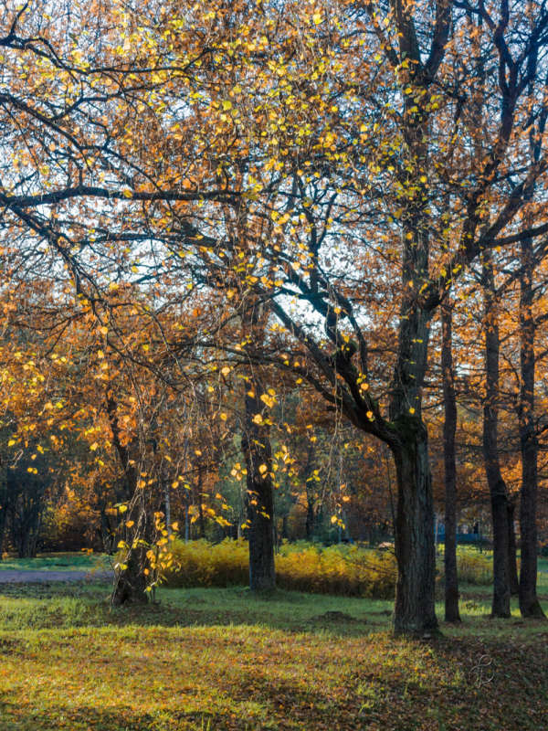 *** ����� Vitaly Konakov �� PhotoGeek.ru #������ ��� ������� #����� ��������