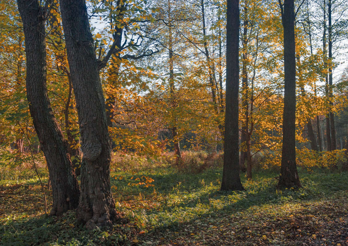 *** ����� Vitaly Konakov �� PhotoGeek.ru #������ ��� ������� #����� ��������